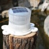 solar buoy lights